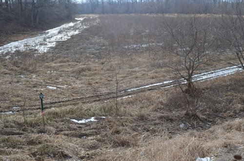 Property photo 3 - East Allen County Land Auction - 40 Acres in 2 Tracts